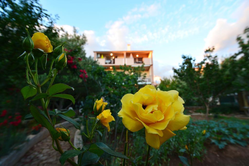Apartments Silvana Sunset View Zadar Exterior photo